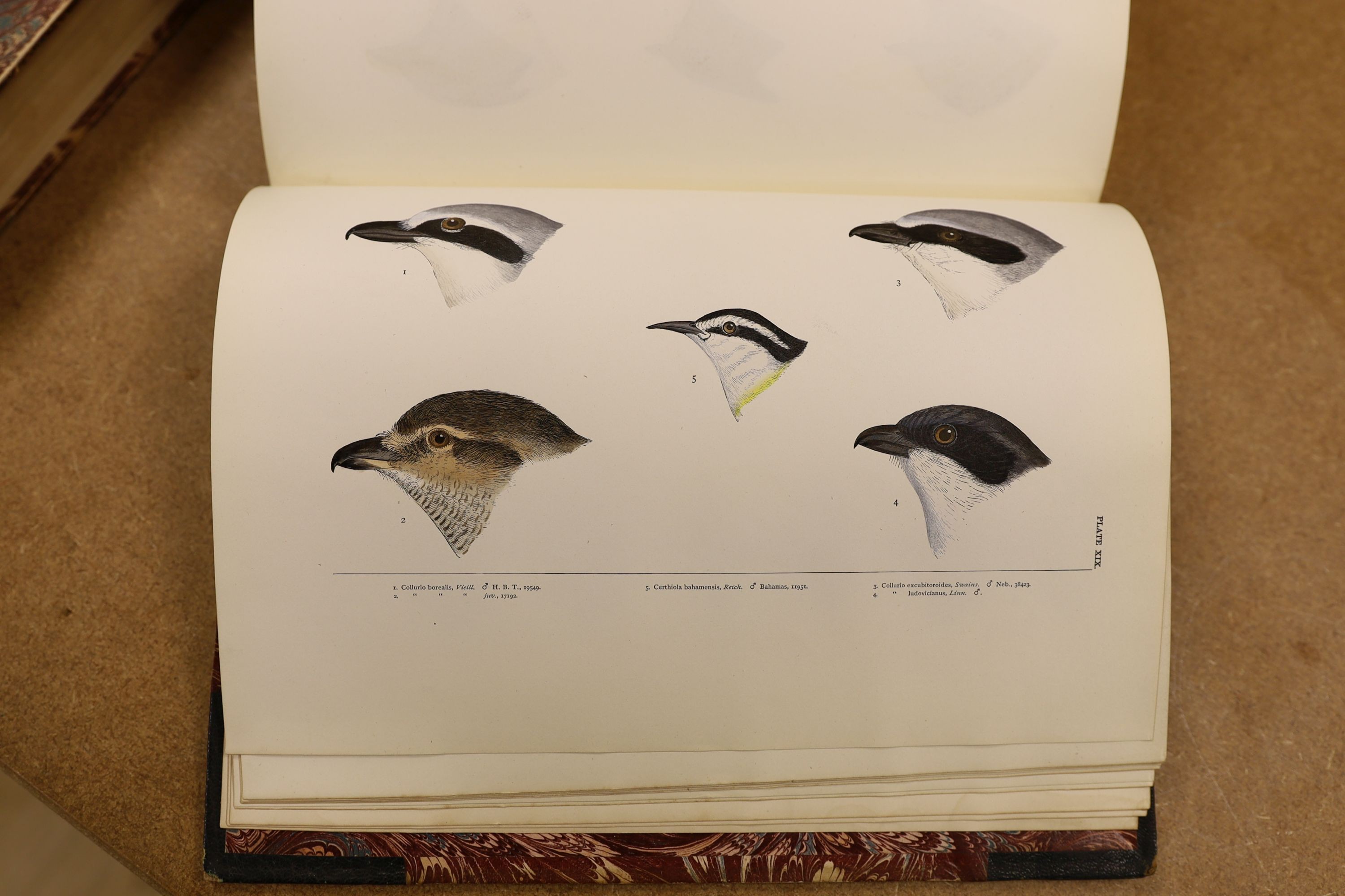 Baird, S.F. & Others - A History of North America Birds: Land Birds, 3 vols., coloured plates and other illus.; old half leather and marbled boards, gilt tops and marbled e/ps., 4to.